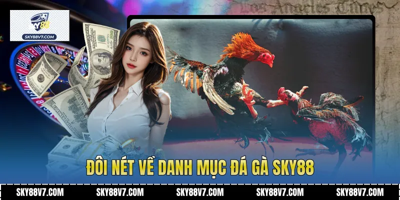 Đôi nét về danh mục Đá Gà Sky88
